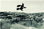 In volo 