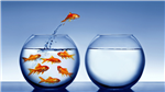 jump and change!