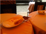 passerotto non andare viaaaa..................